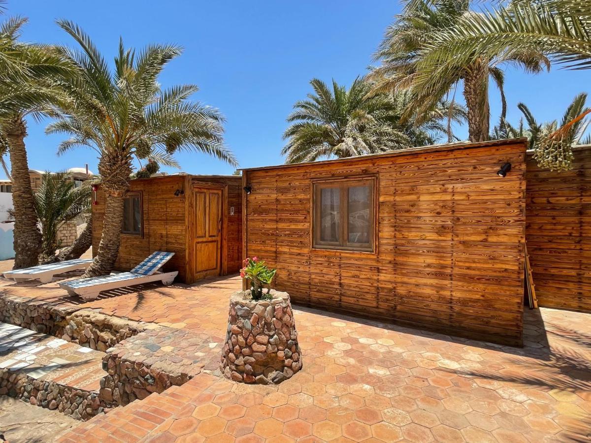 Dolphin Camp Hotel Dahab Exterior photo