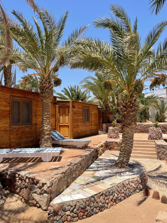Dolphin Camp Hotel Dahab Exterior photo