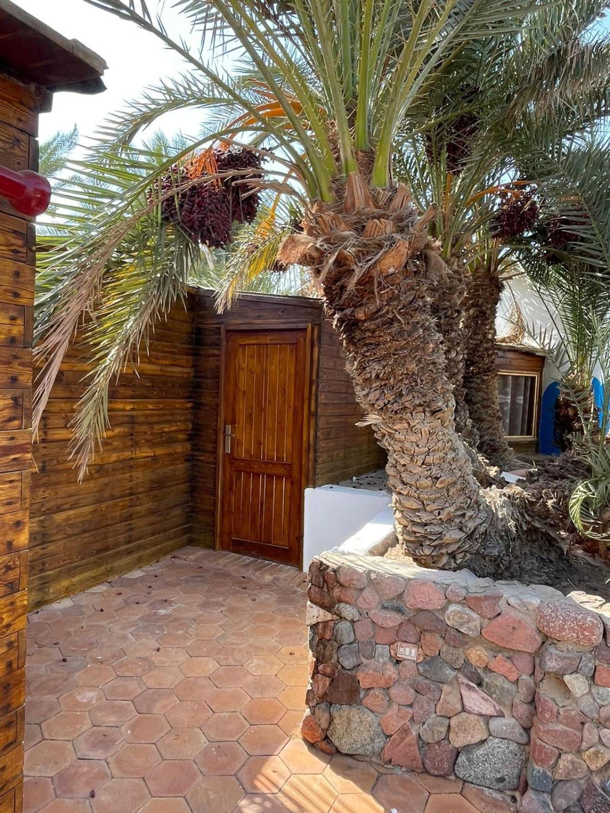 Dolphin Camp Hotel Dahab Exterior photo