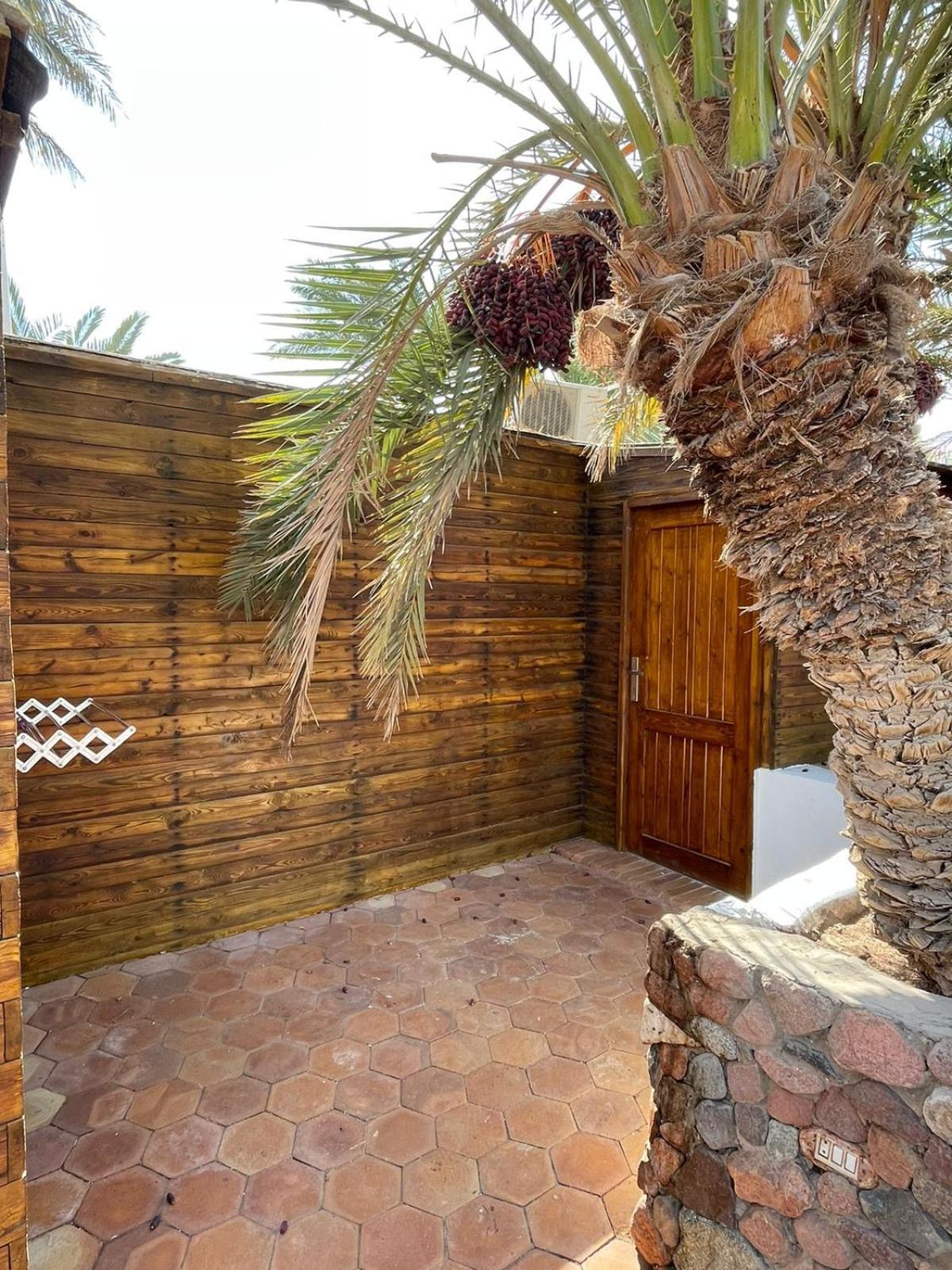 Dolphin Camp Hotel Dahab Exterior photo